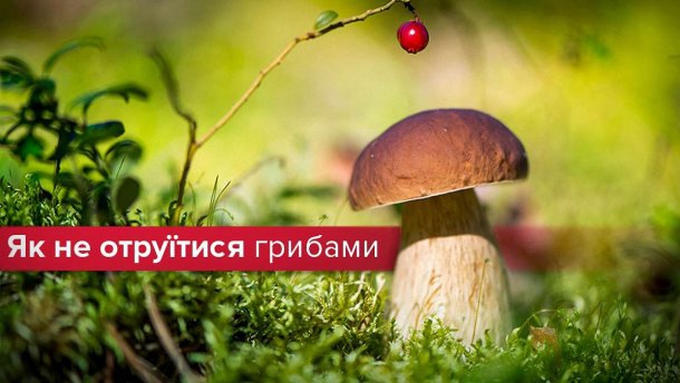 Пам’ятка населенню